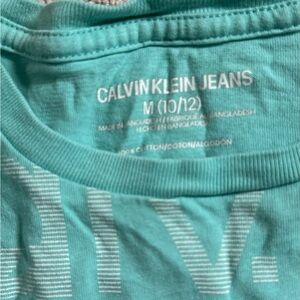 Calvin Klein Jeans Teal Stripe Short Sleeve Tee